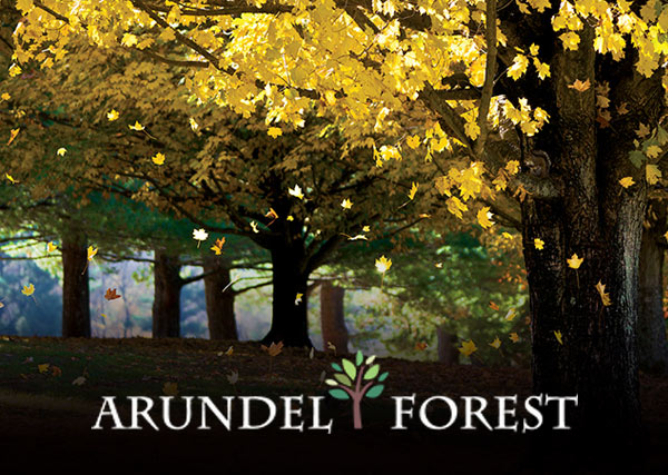 Arundel Forest Website Design
